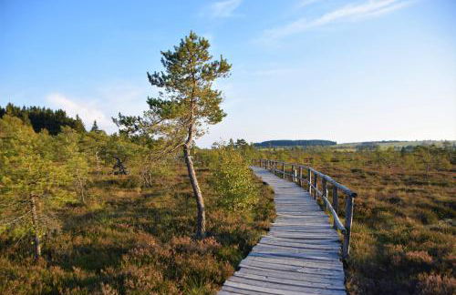 Gästehaus Jäger Ferienwohnungen - Foto 29