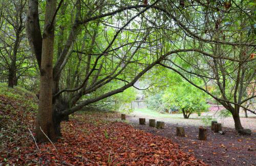 Dúplex de invitados en medio del bosque - Foto 24