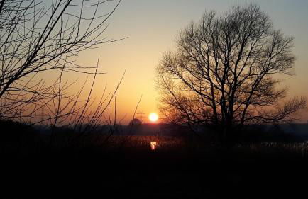 MOIN, MOIN & AHOI! - Foto 55