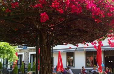 Apartamento Estefânia - Foto 41