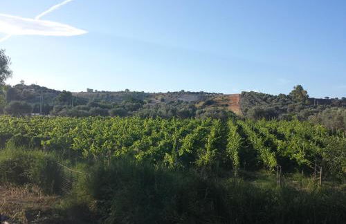 Agriturismo Donna Beatrice - Foto 27