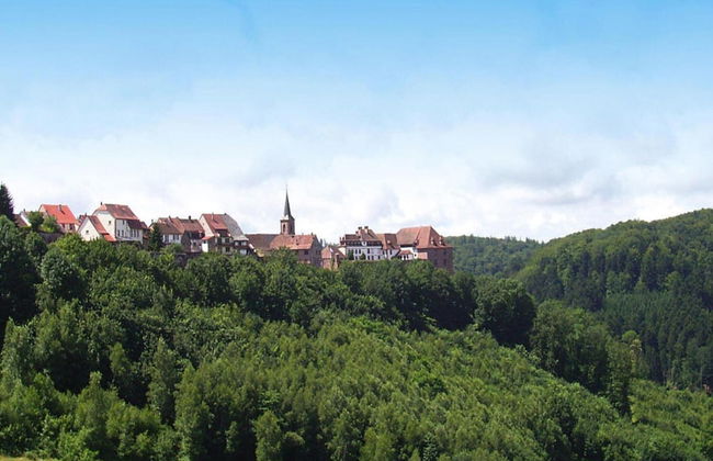 House Near Vosges Park and La Petite Pierre - Foto 28