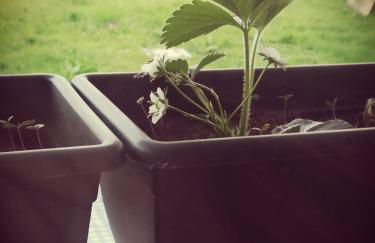 Profumo di Casa - Foto 21