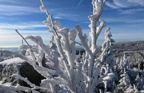 Mühlbergidyll - Photo 20