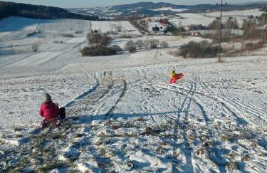 Bieszczadzki Horyzont Apartamenty - Photo 33