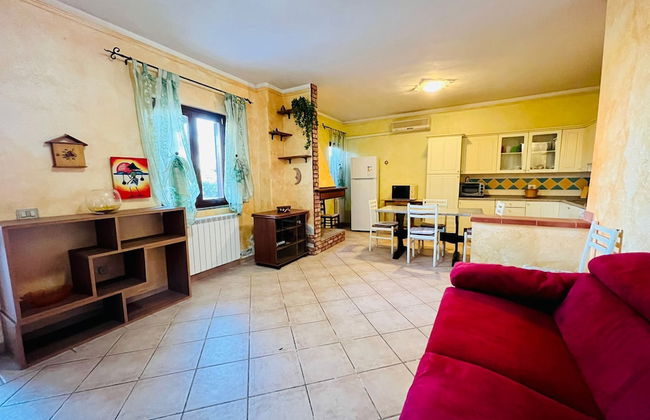 Badualga Pink - Foto 11