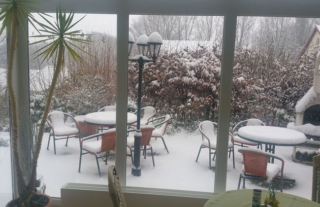 Habitación Doble Estándar - Panorama Hotel Pension Frohnau - Foto 33