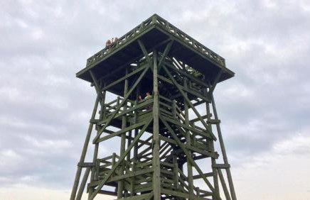 Apartamenty Pod Jesionem - Foto 14