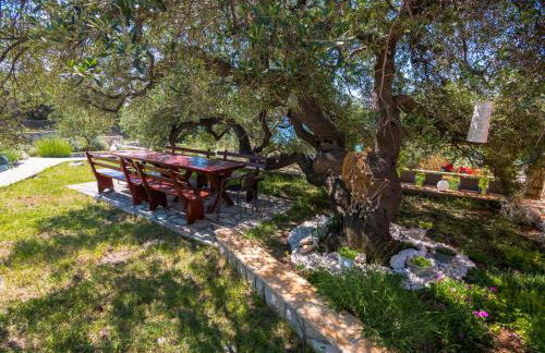 Apartmani Maslina - Photo 10