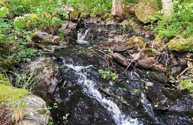 6 Person Holiday Home in Dalskog - Foto 18