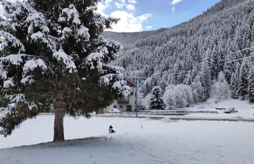 Mot chalet - Foto 15