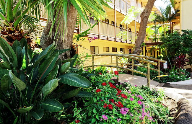 Hono Kai A10 - Foto 13