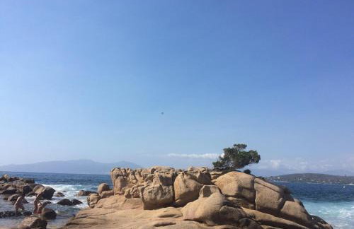 A Luna Rossa - Photo 47