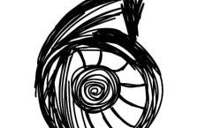 Casa na Praia da Enseada - Ubatuba - Foto 1