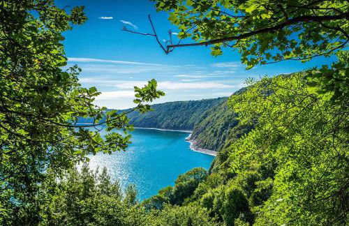 18 Bucklands - Cosy 5-Star Chalet - Starlink Wi-Fi - Coastal Woodland - Foto 21