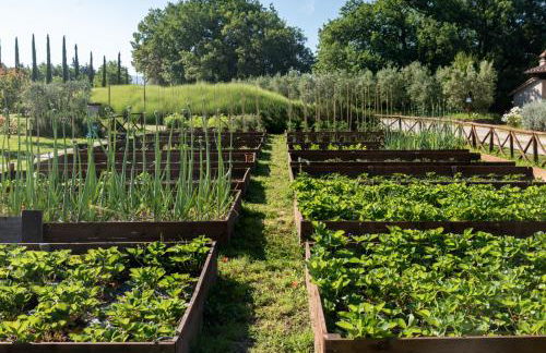 Agriturismo Cuprena - Foto 14