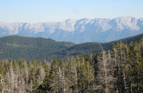 Ca l'Escolà - Foto 11