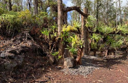 Exotic Garden cottage at amazing volcano fissure - Foto 26