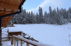 Dom na Zielonym Wzgórzu z własną Sauną i Jacuzzi - Foto 16