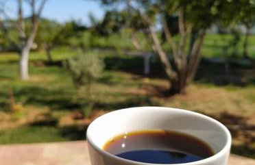 Ktima Anastasia - Foto 5