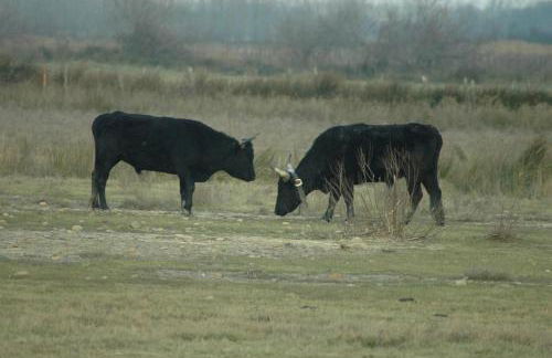 Chez Valéric - Foto 21