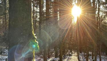 Ferienwohnung Am Wald - Foto 5