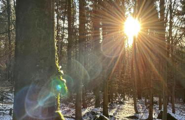 Ferienwohnung Am Wald - Foto 5