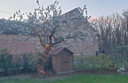 Ferienwohnung Familie Lange, bis 8 Personen - Foto 49