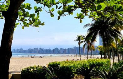 Viver a vida - Photo 54