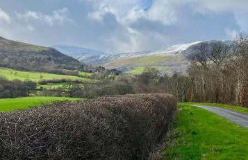 Baddegai Holiday Cottage - Photo 30