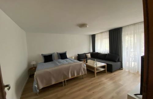 Pension mit Moselblick - Foto 72