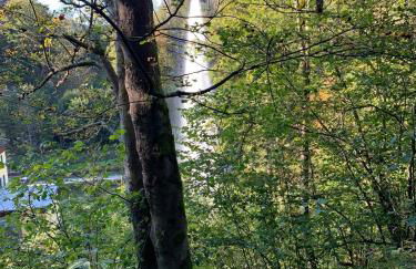 Schöne Ferienwohnung in Schauenstein-Hof im Frankenwald mit Loggia 100qm - Foto 32