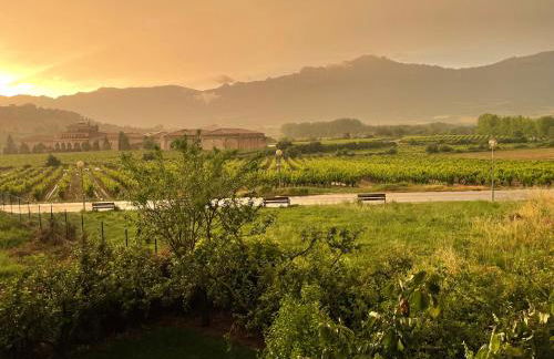 Four Bedroom Chalet with Private Pool in the Heart of Rioja Alavesa - Photo 21