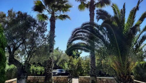 Villa Palma Posidi with Private pool - Foto 5