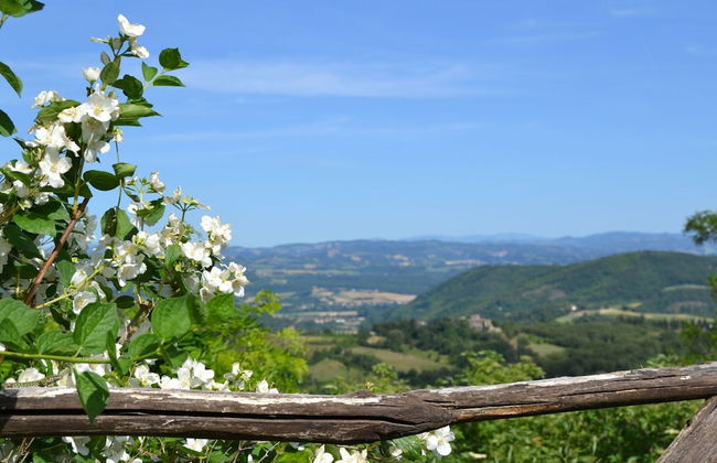 Holiday Home Monte Santa Maria Pool Retreat - Foto 22