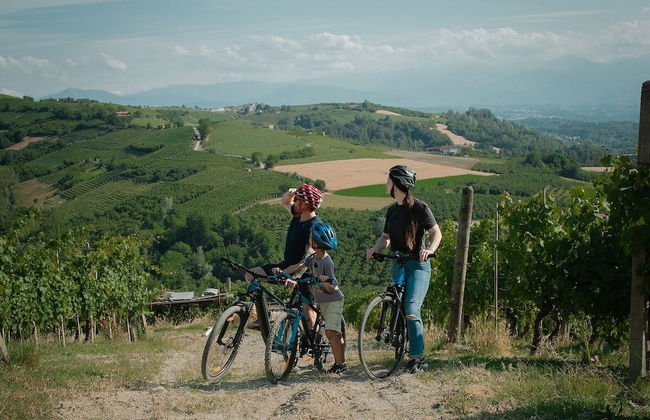 Bricco Rosso - Foto 17