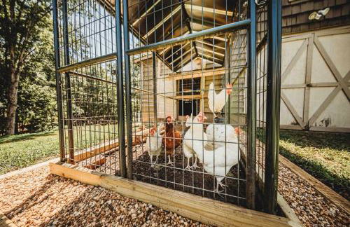 Lake Ranch - Foto 33