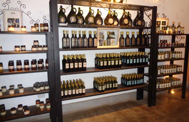 Wine Tasting and Winery Tour - Foto 4