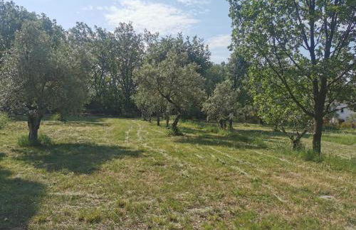 Domaine GEODORA, Parfumeur en Provence - Foto 66