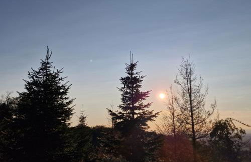 Ferienwohnung Waldzauber Schwarzwaldvibes meets Weinregion - Foto 26