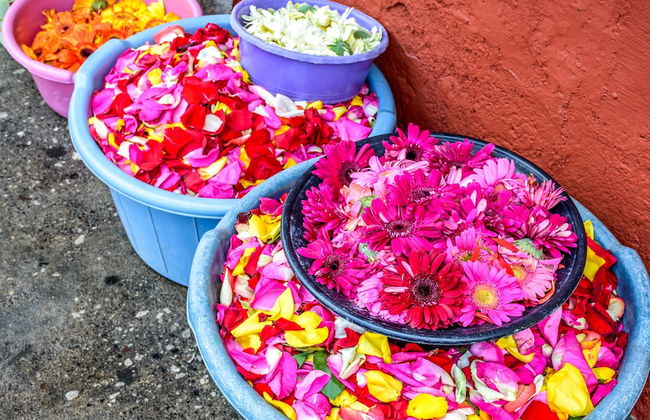 Casa Paxanax - Foto 25