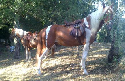 Agro do Souto, Noia - Villa completa - Foto 20