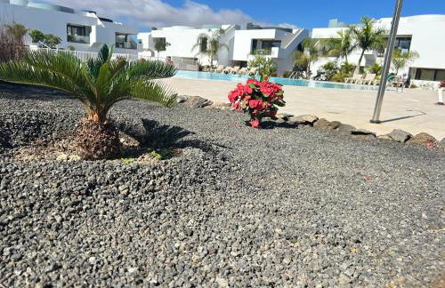 Mariposa Blanca - Foto 8