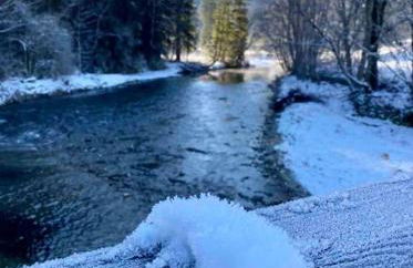 Casa Natur Pur, 85m2 mit Garten Sauna - Foto 39