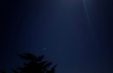 Mas Furriol - Foto 31