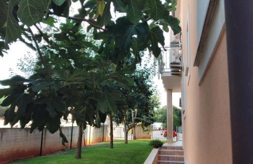 Maria&Beppi - Photo 47