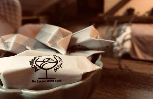 Apartamenty Rymanów - Foto 29