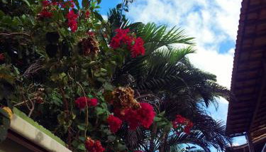 Casa Banho de Mar à 1 quadra da praia com Piscina, Wi-Fi e Ar condicionado - Foto 5