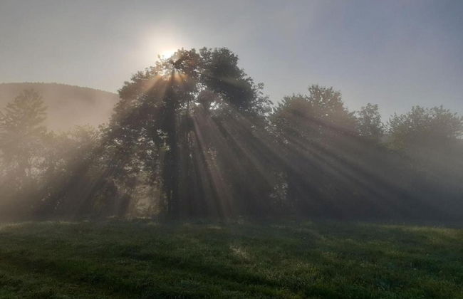 Ferienwohnung in Herbolzheim - Foto 21