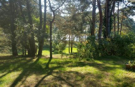 Dom nad jeziorem Omulew - Foto 22